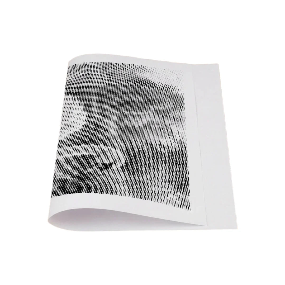 Kit dot painting Lupo