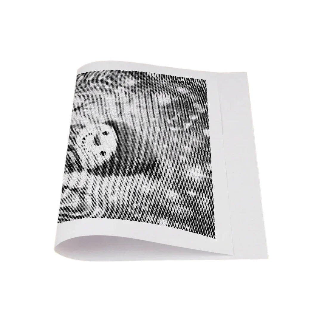 Kit dot painting Lupo