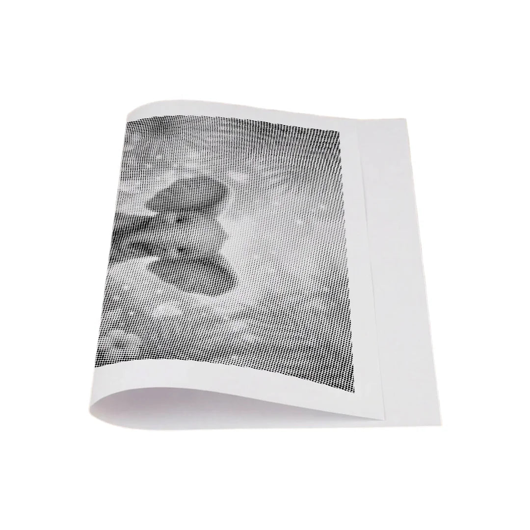 Kit dot painting Lupo