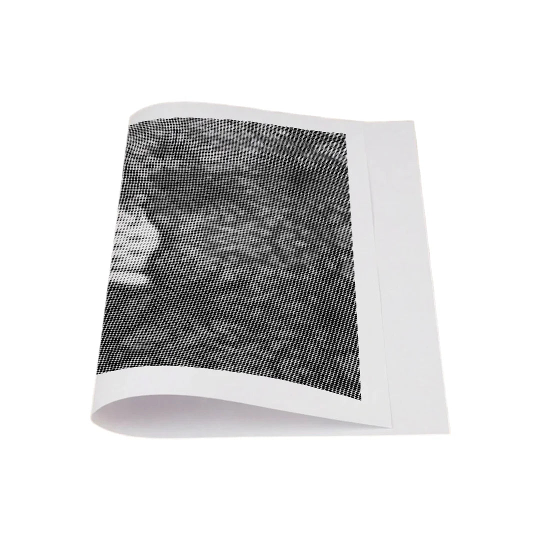 Kit dot painting Lupo