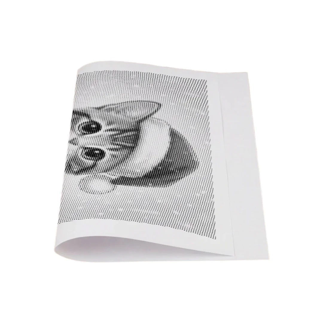 Kit dot painting Lupo