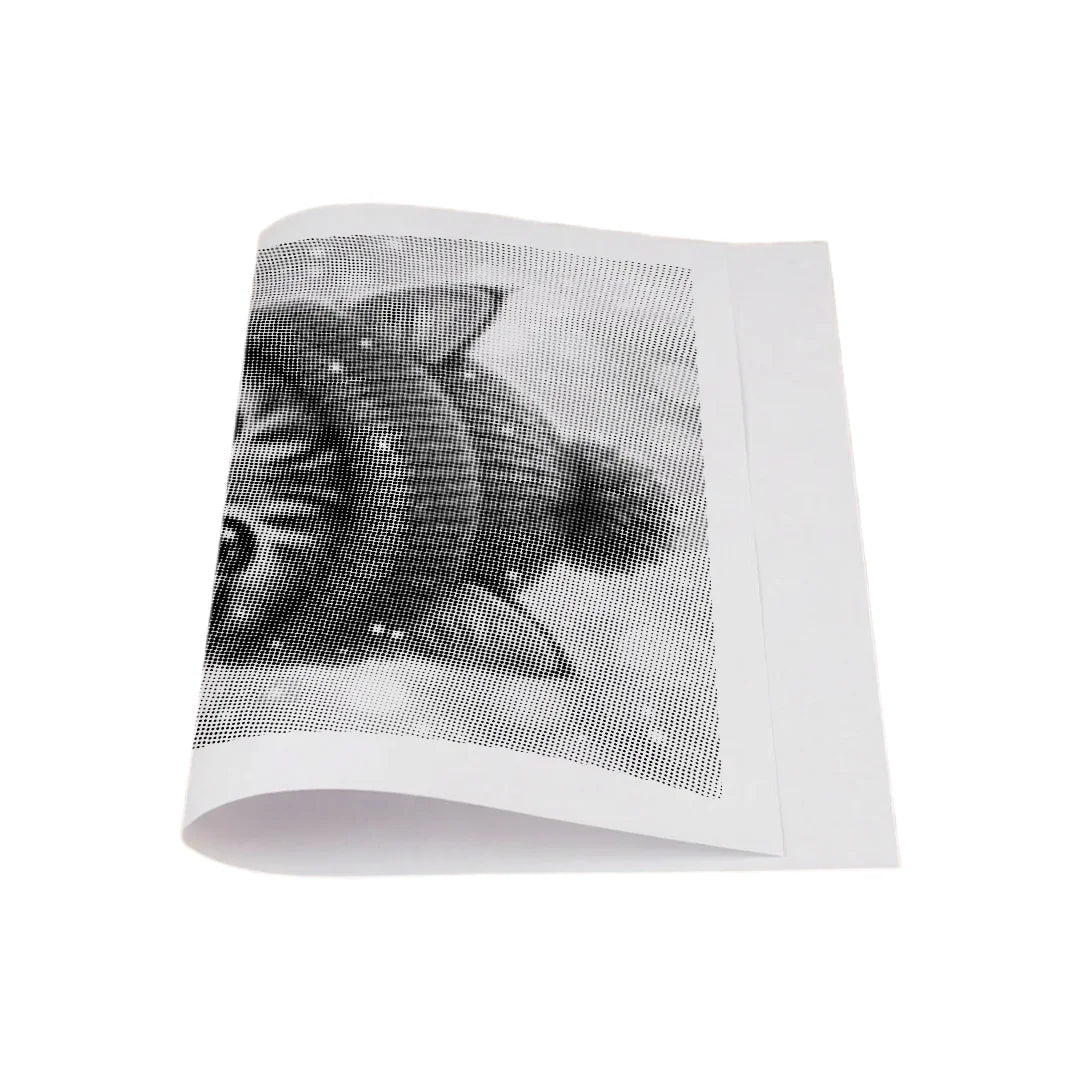 Kit dot painting Lupo