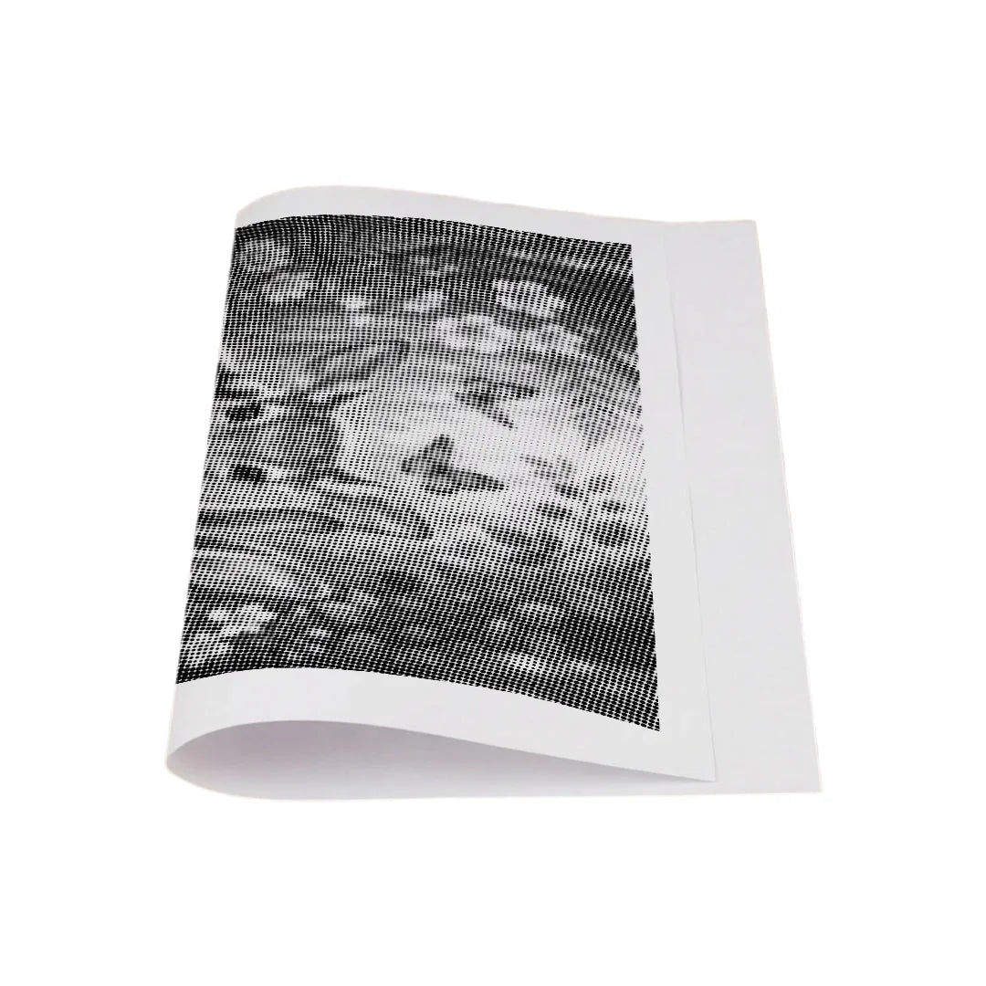 Kit dot painting Lupo