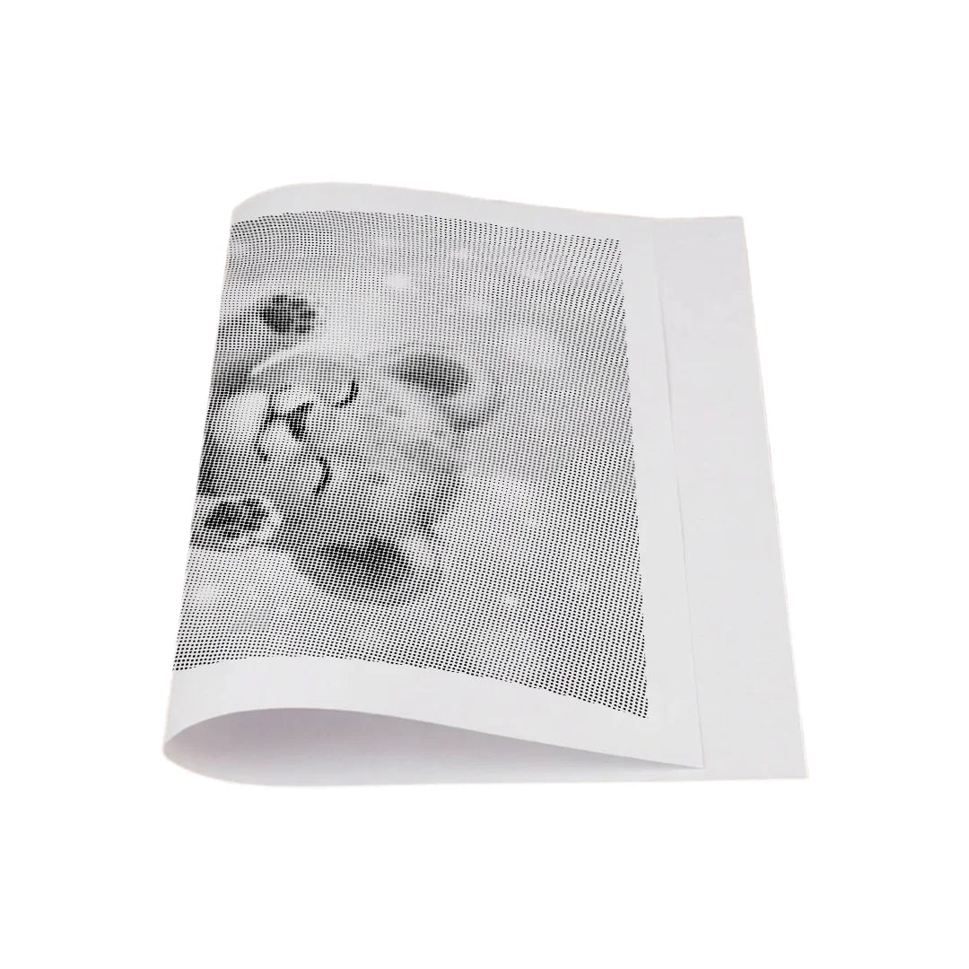 Kit dot painting Lupo