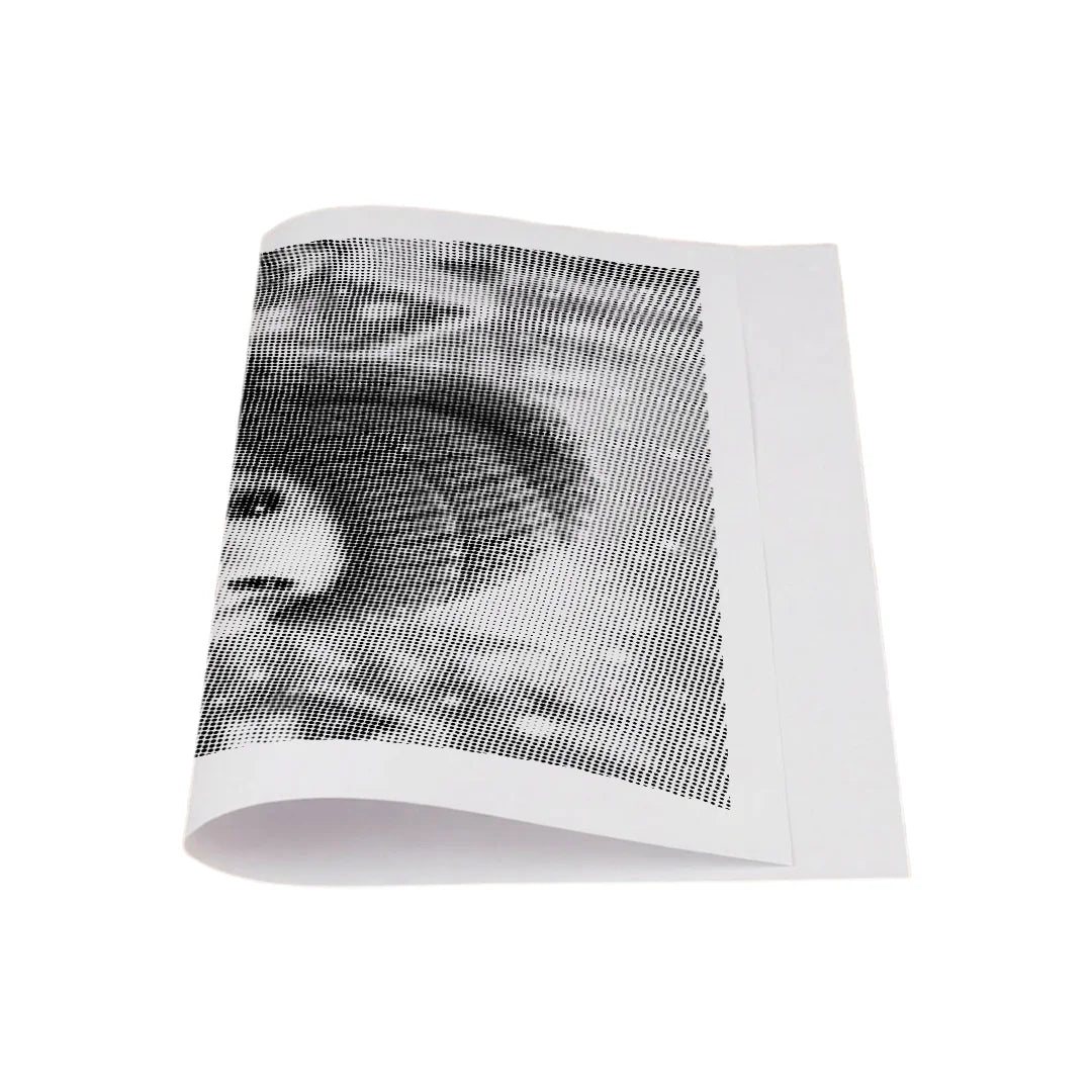 Kit dot painting Lupo