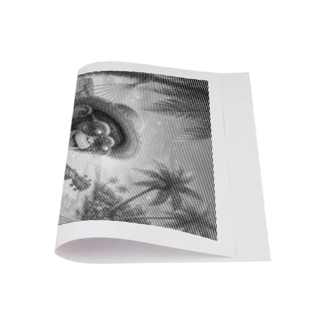 Kit dot painting Lupo