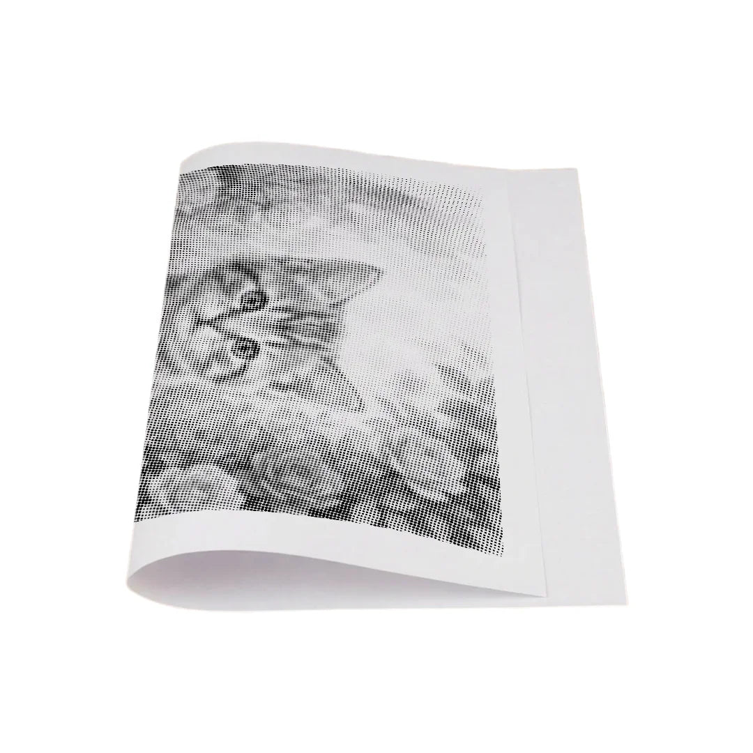 Kit dot painting Lupo