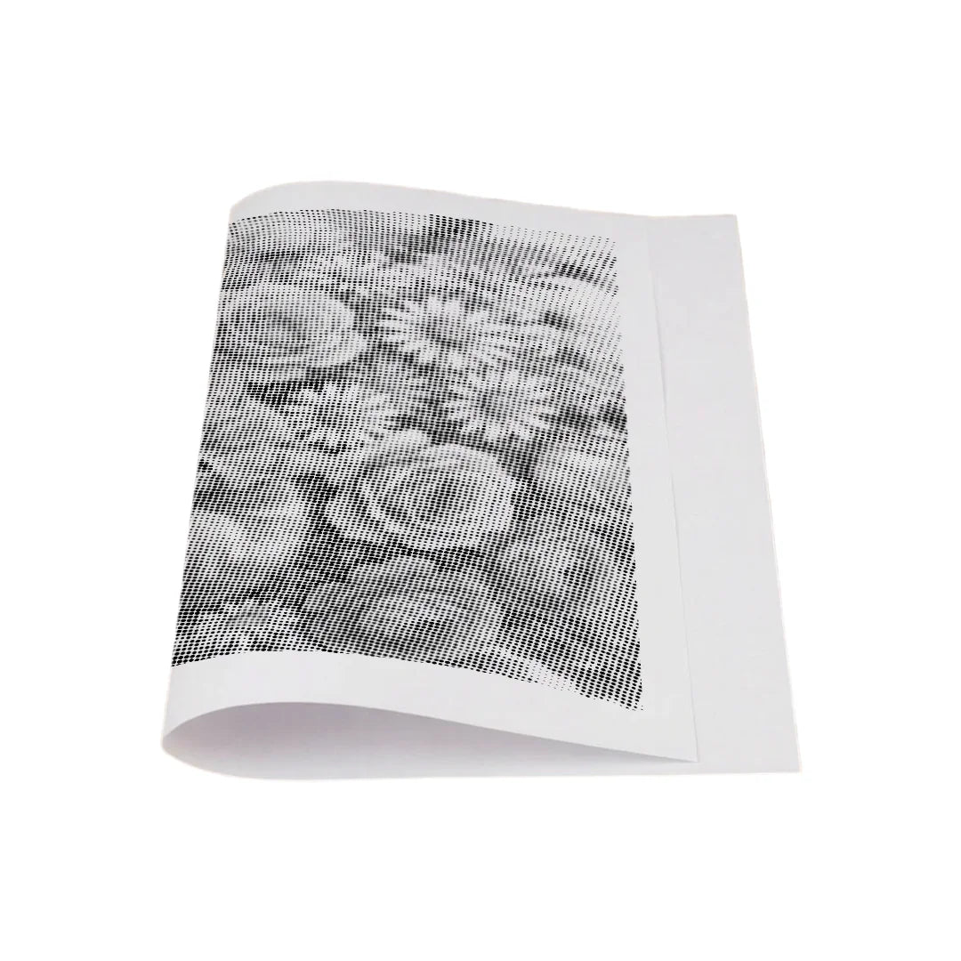 Kit dot painting Lupo