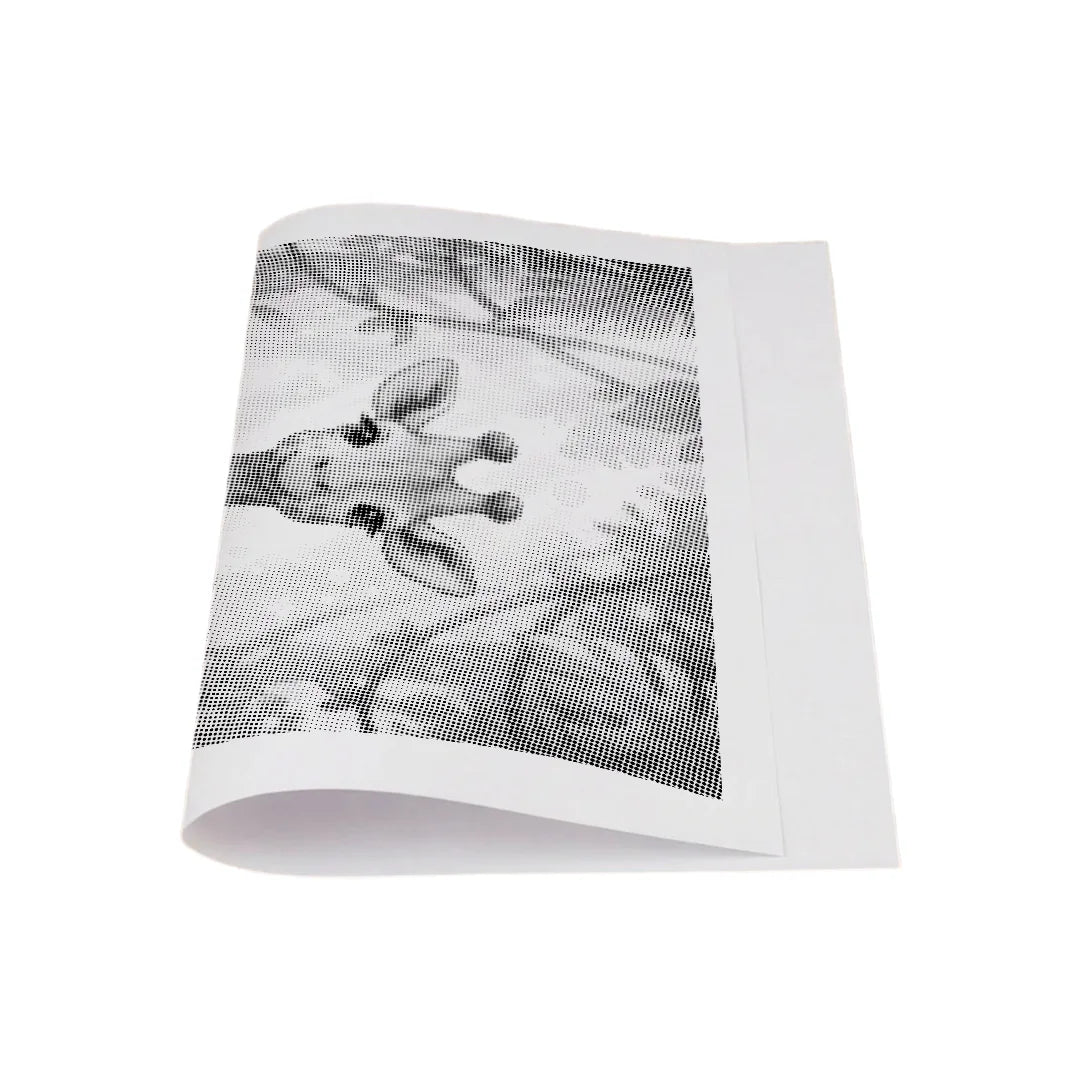 Kit dot painting Lupo