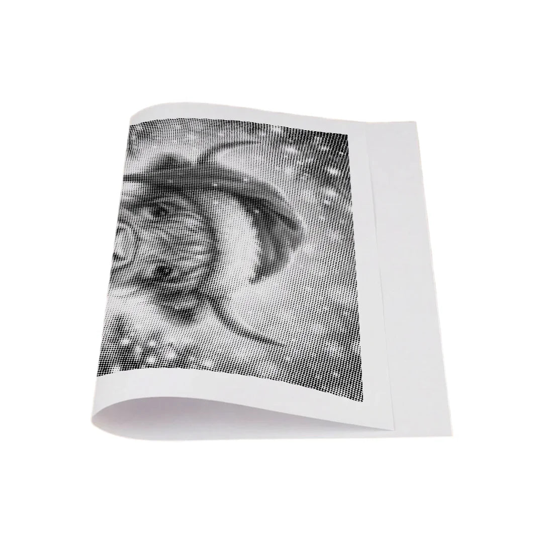 Kit dot painting Lupo