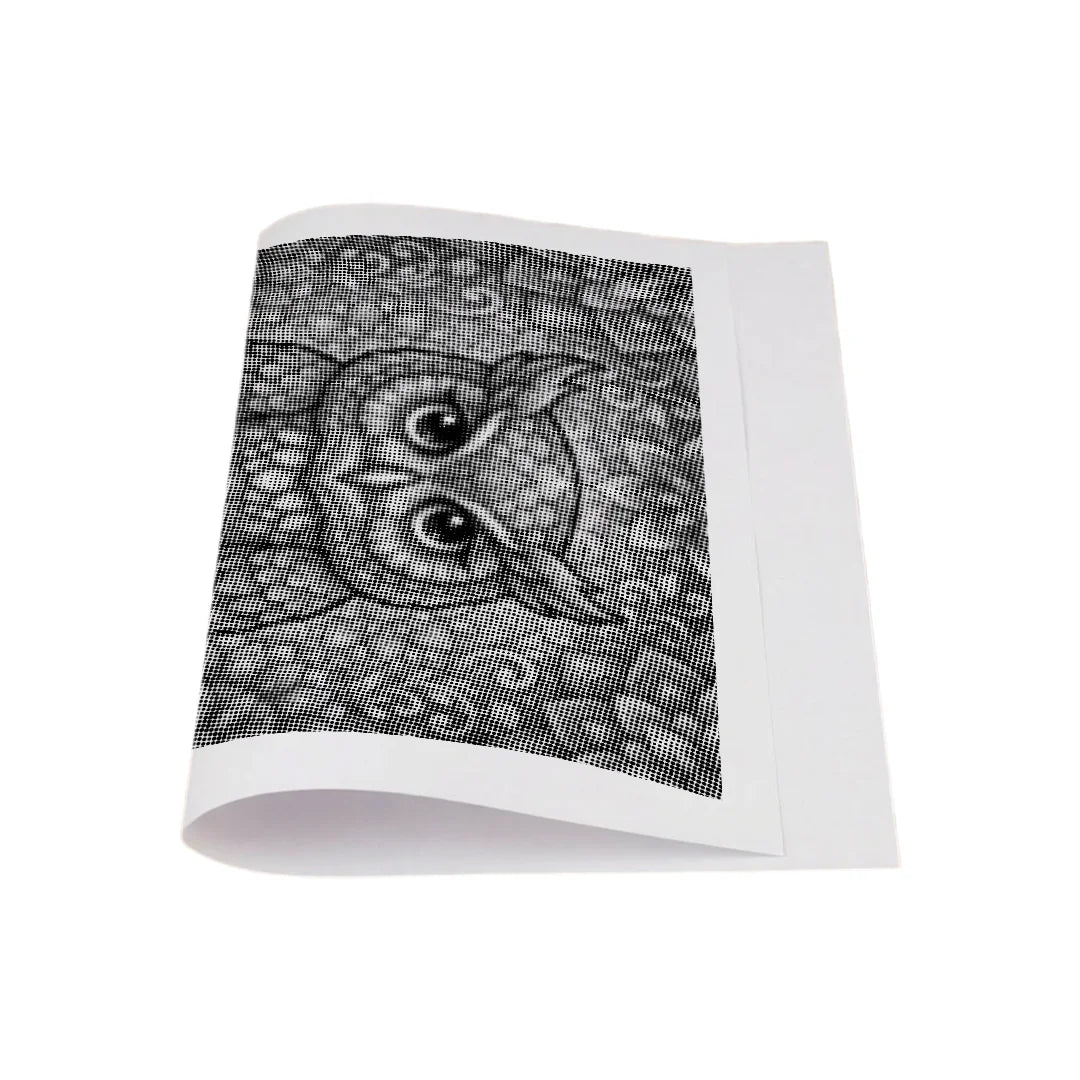 Kit dot painting Lupo