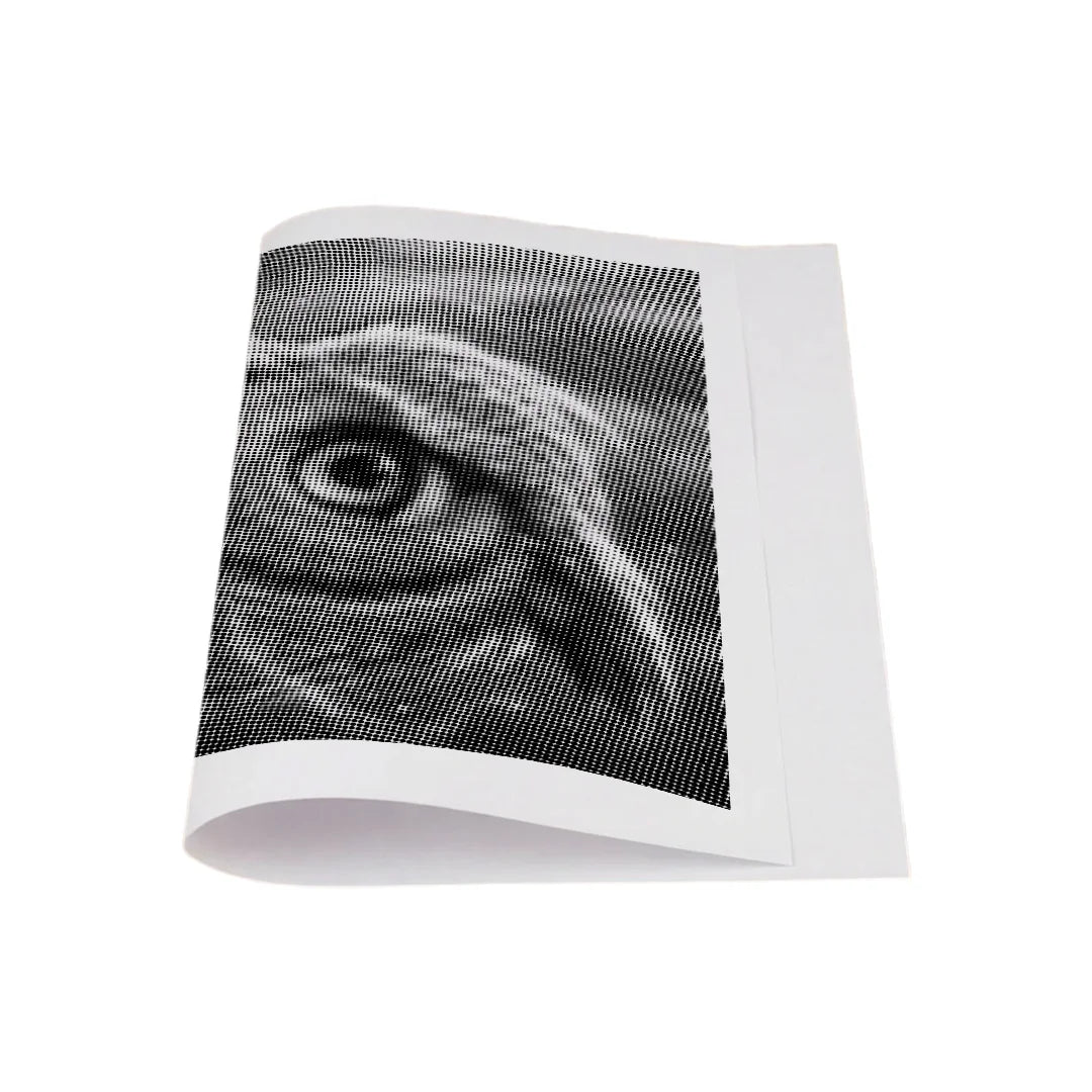 Kit dot painting Lupo