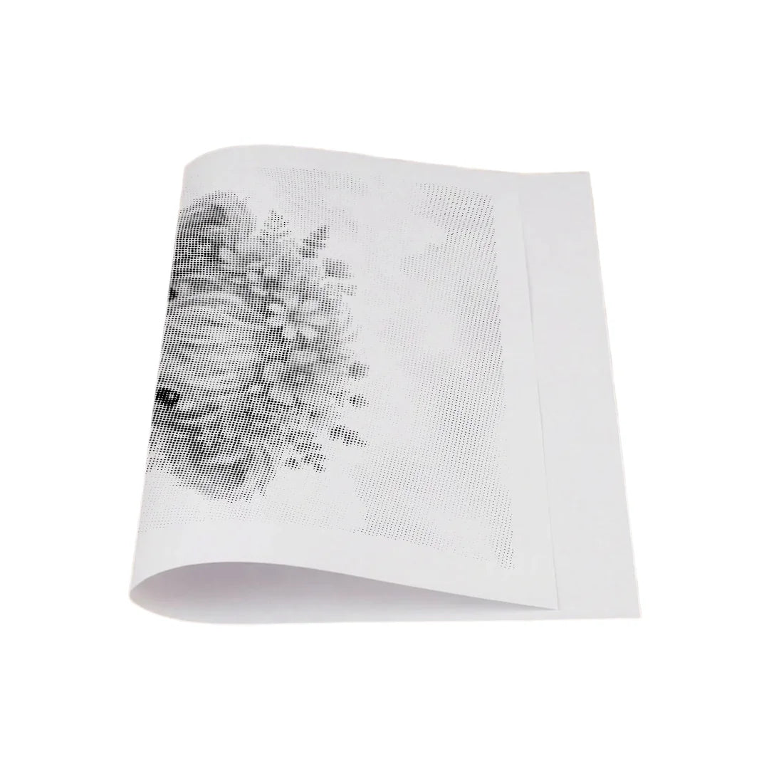 Kit dot painting Lupo