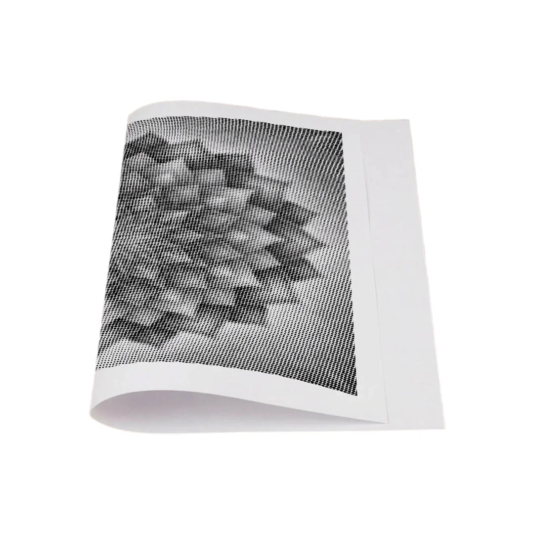 Kit dot painting Lupo