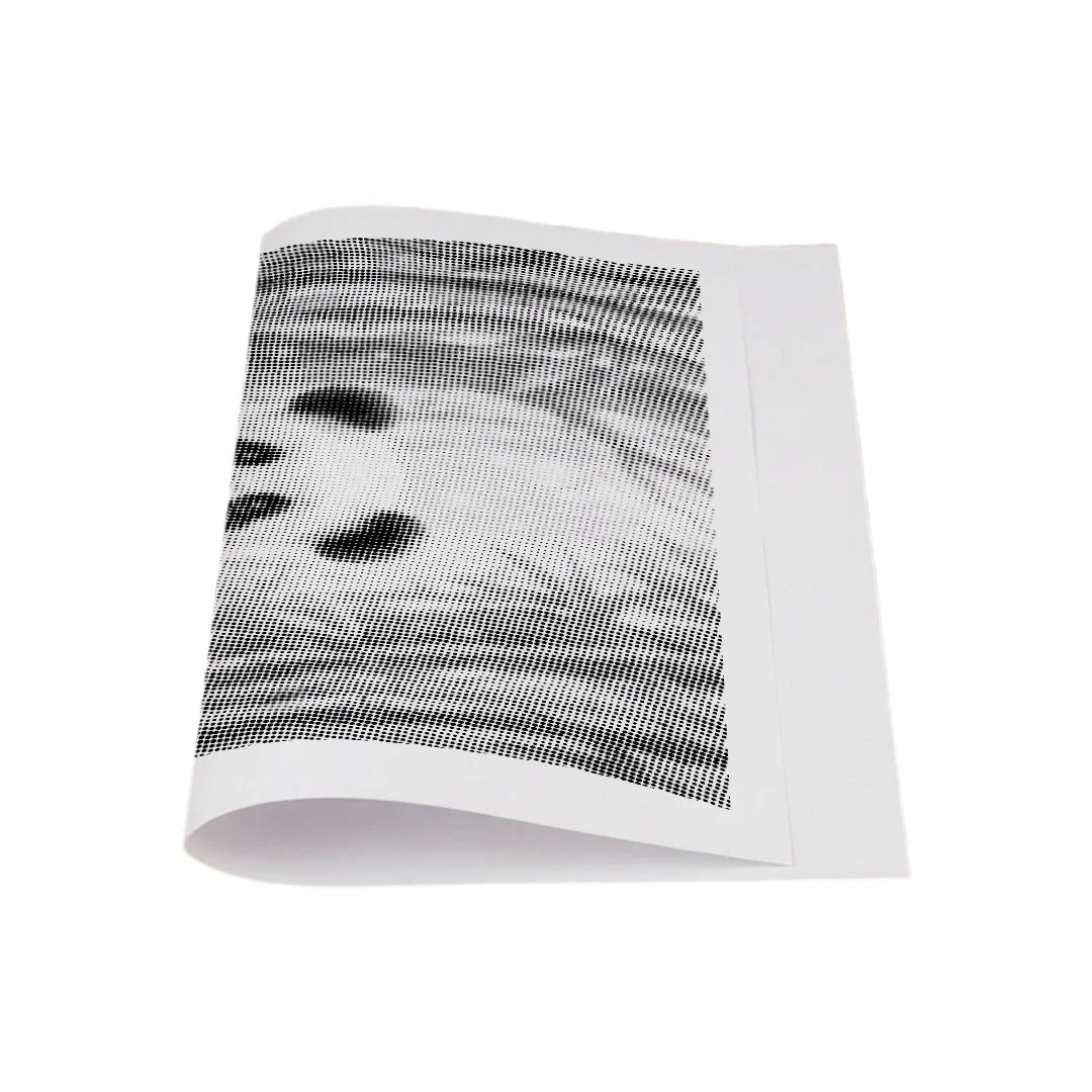 Kit dot painting Lupo