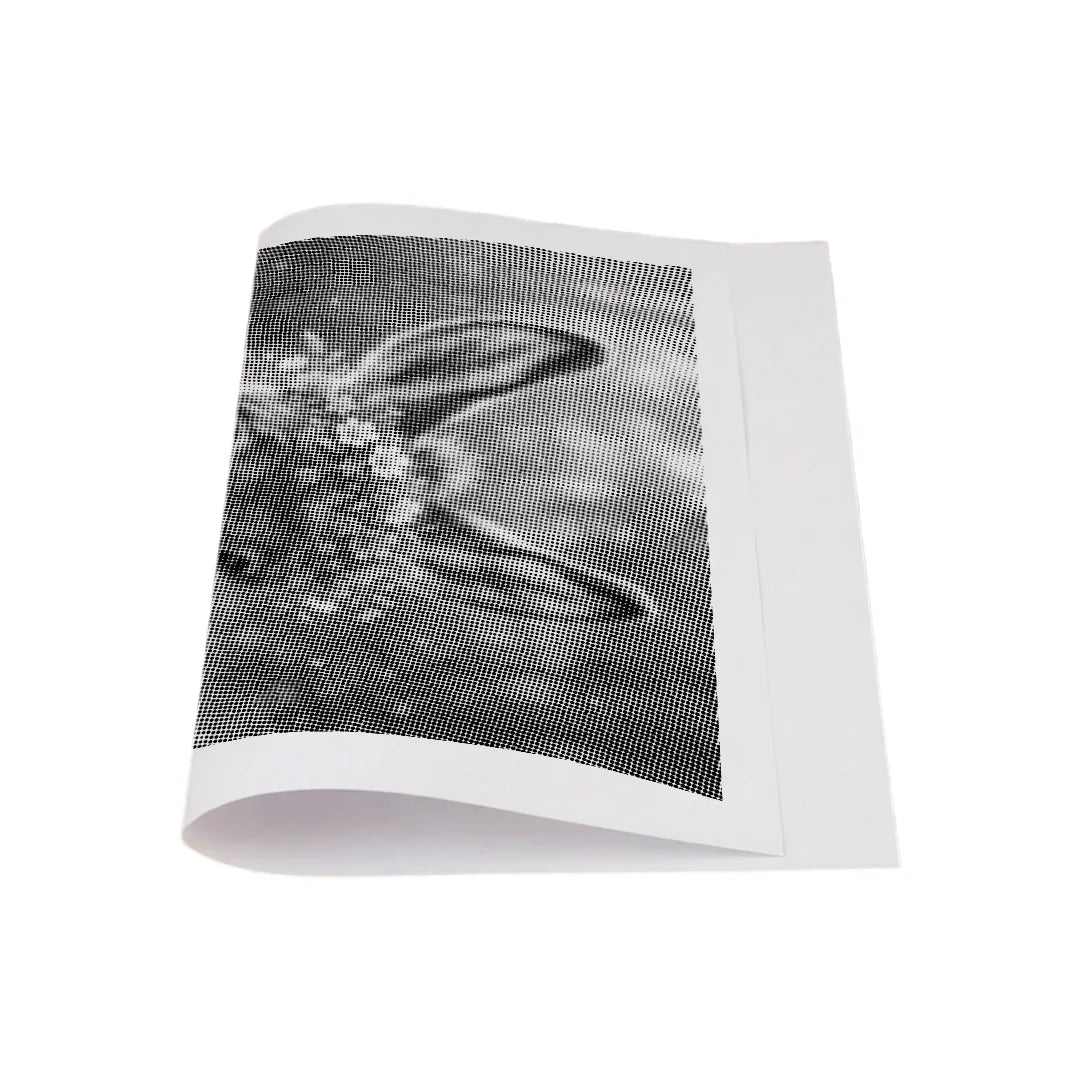 Kit dot painting Lupo