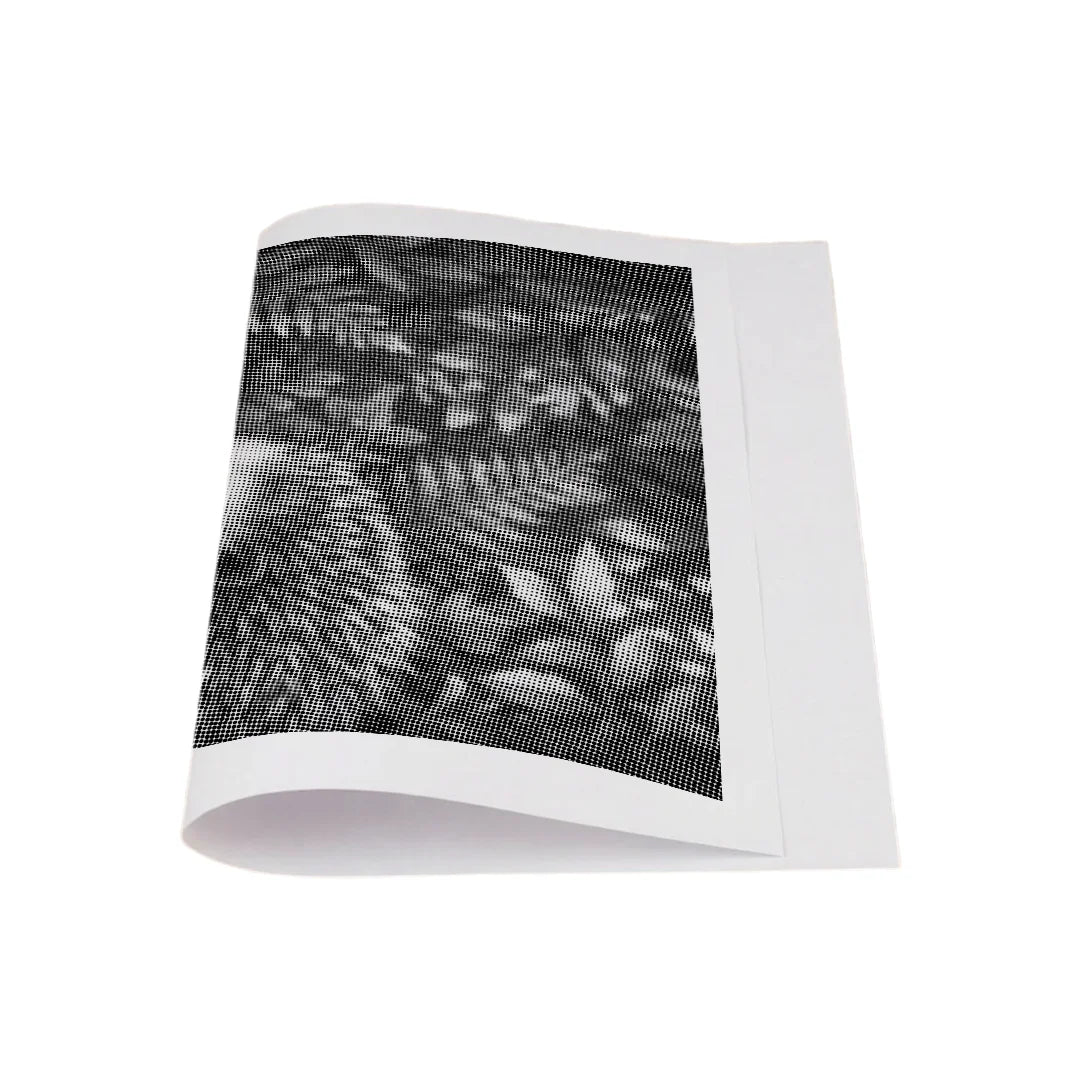 Kit dot painting Lupo