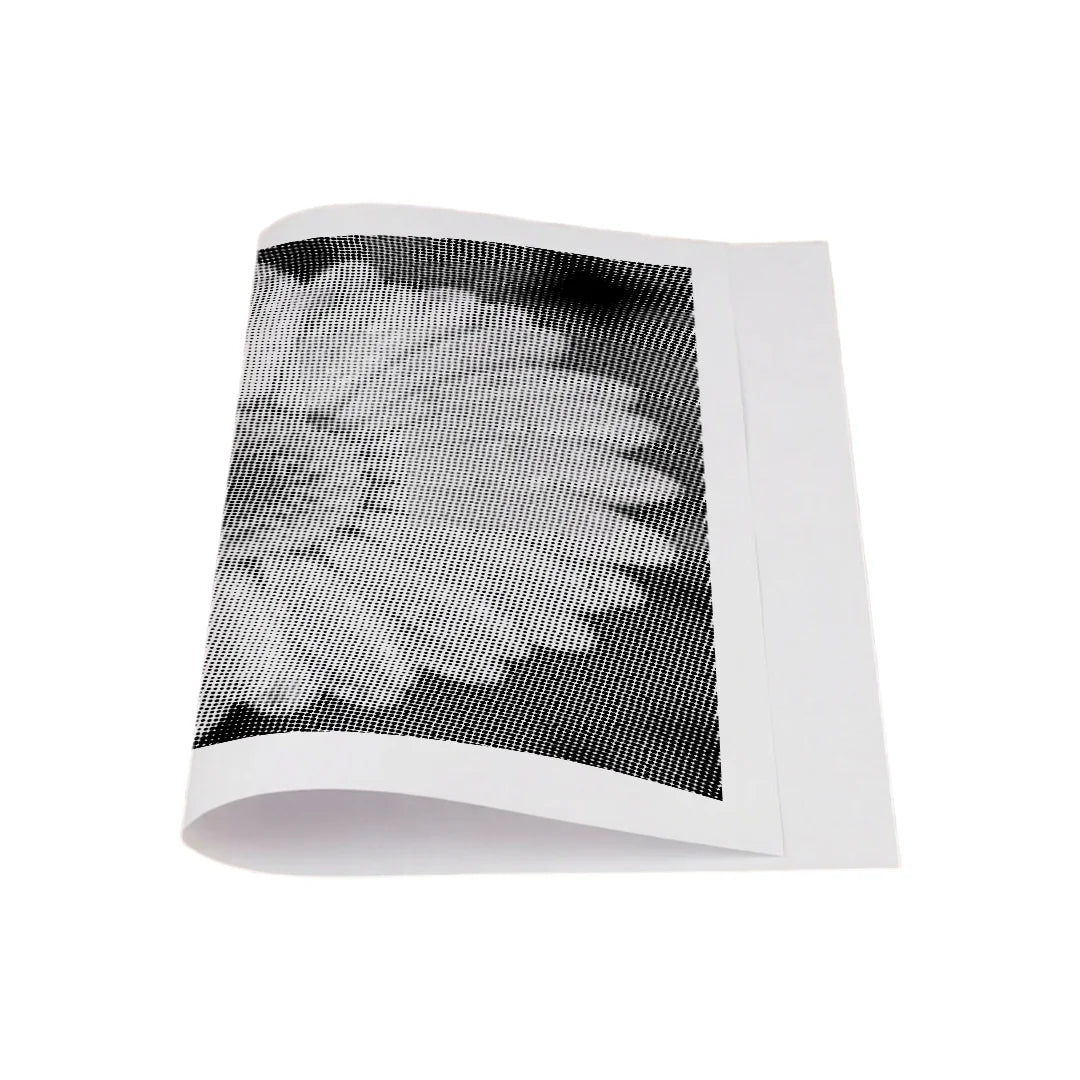 Kit dot painting Lupo