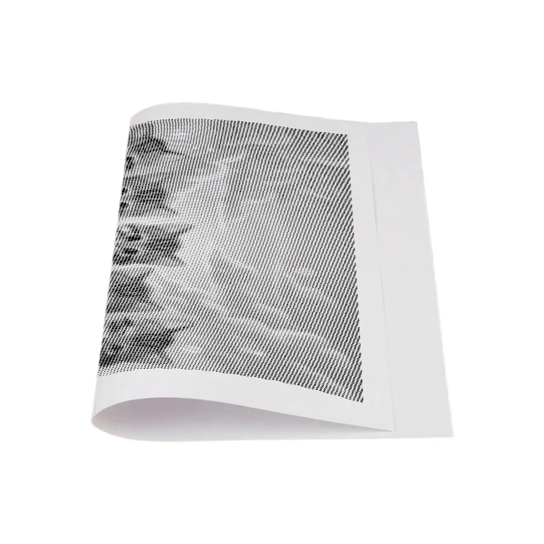 Kit dot painting Lupo