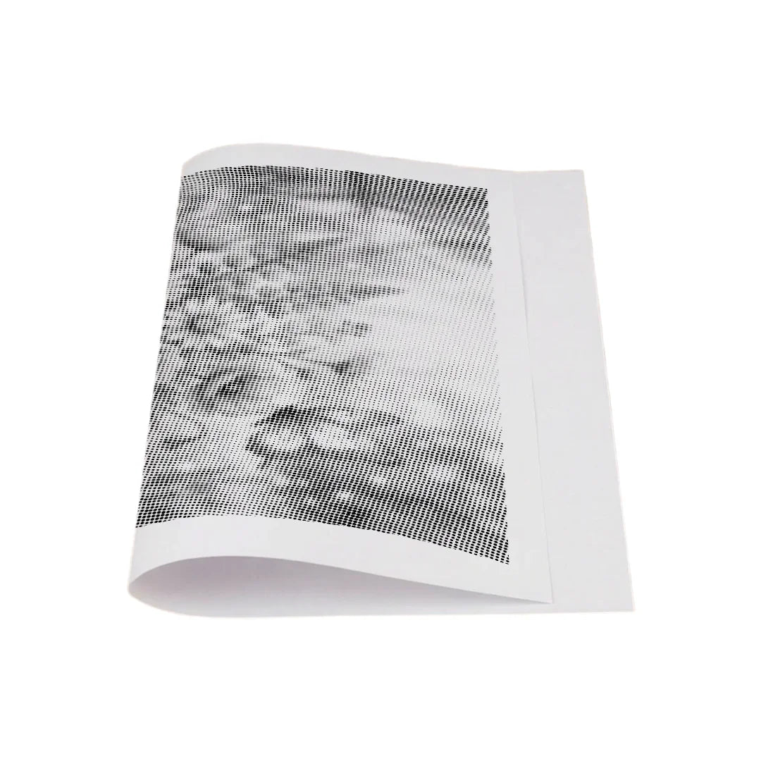 Kit dot painting Lupo