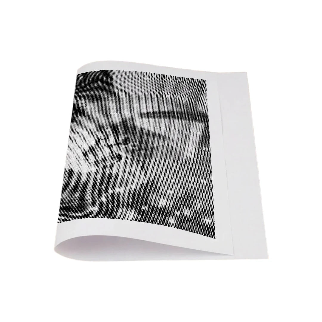 Kit dot painting Lupo