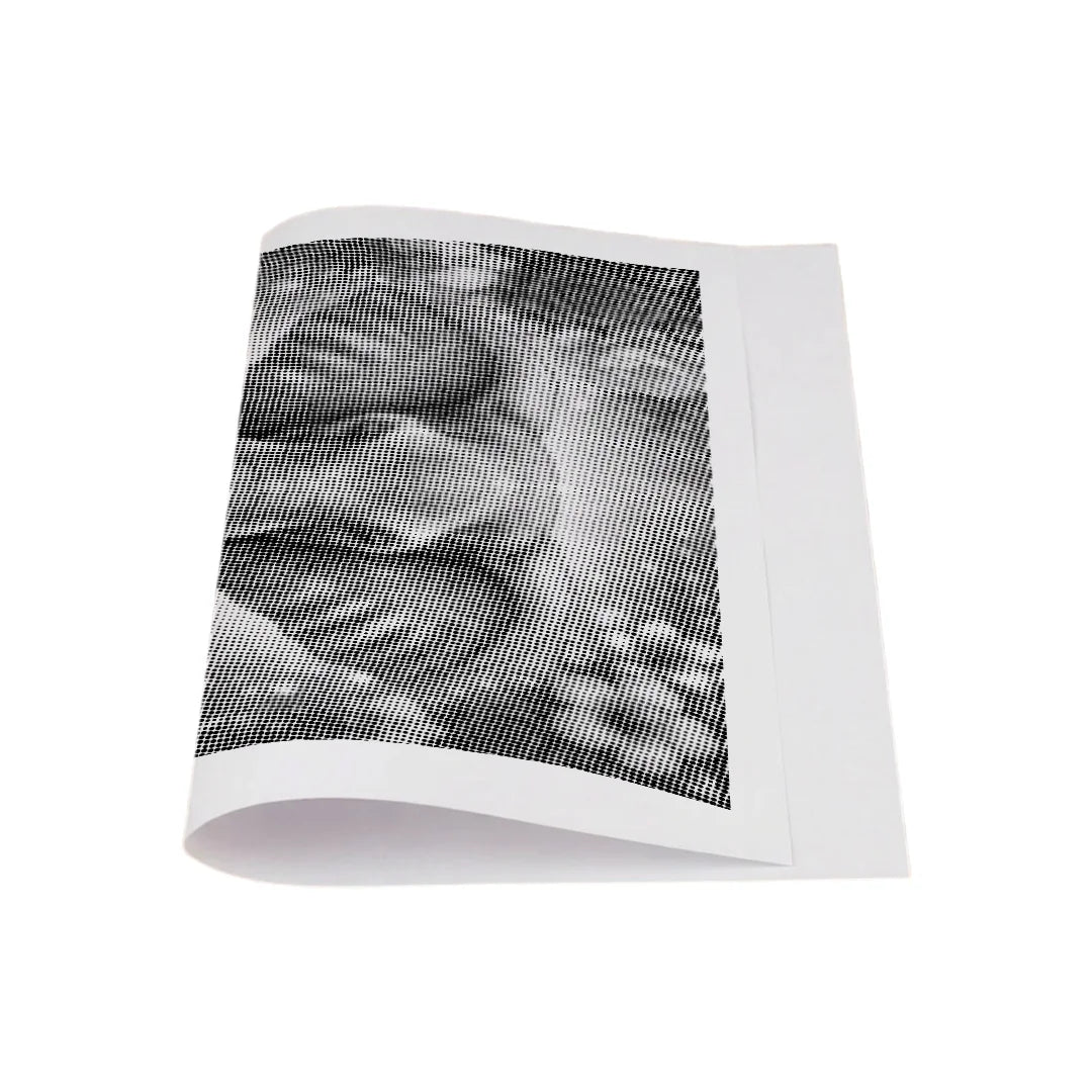 Kit dot painting Lupo