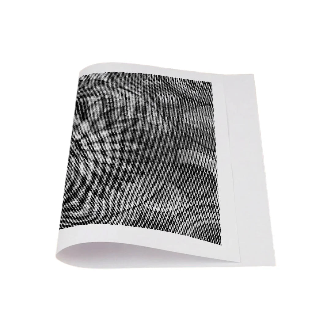 Kit dot painting Lupo