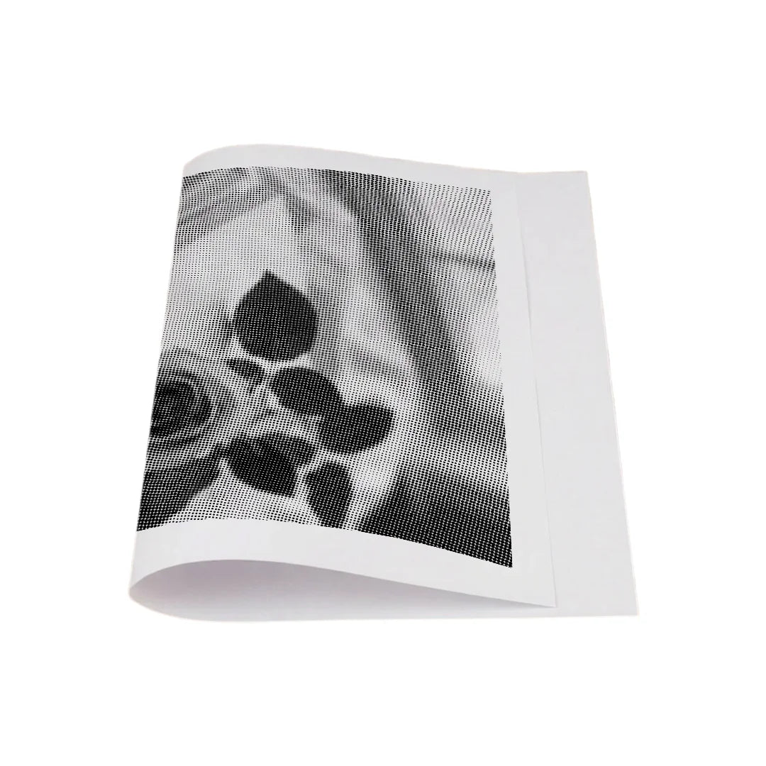 Kit dot painting Lupo