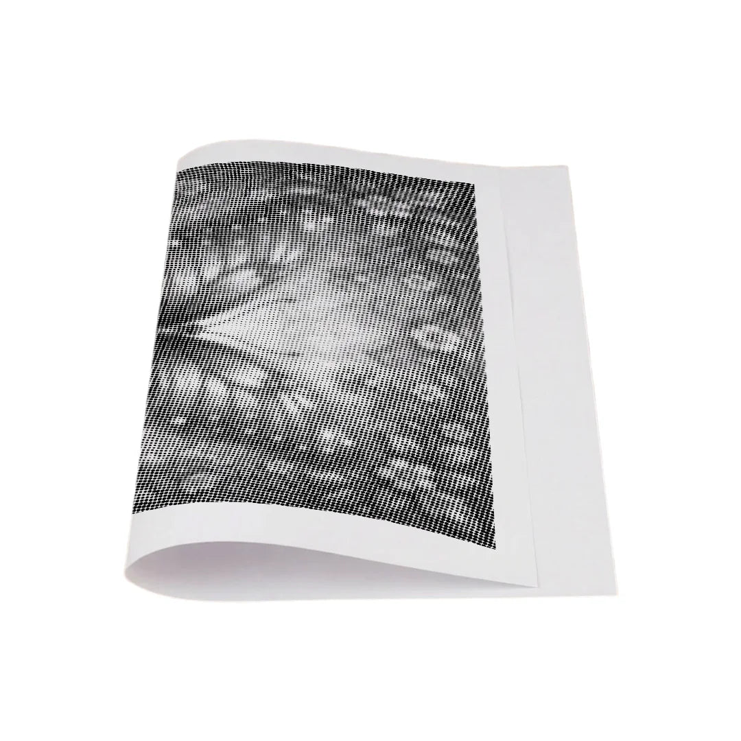 Kit dot painting Lupo