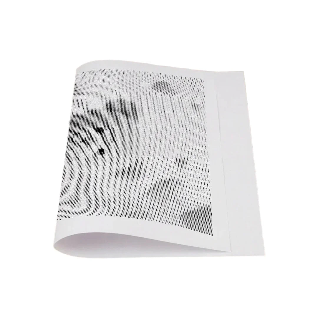 Kit dot painting Lupo