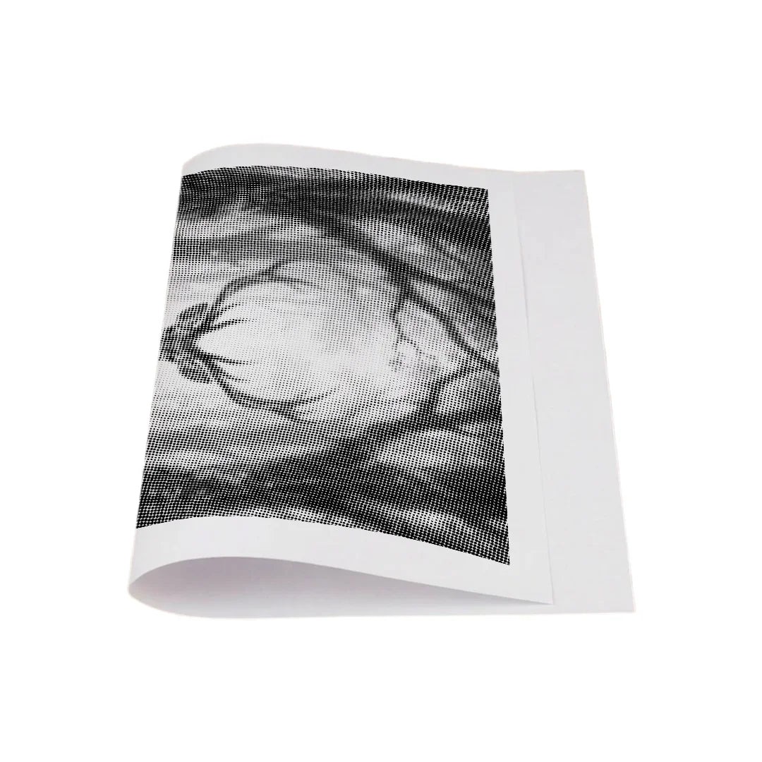 Kit dot painting Lupo