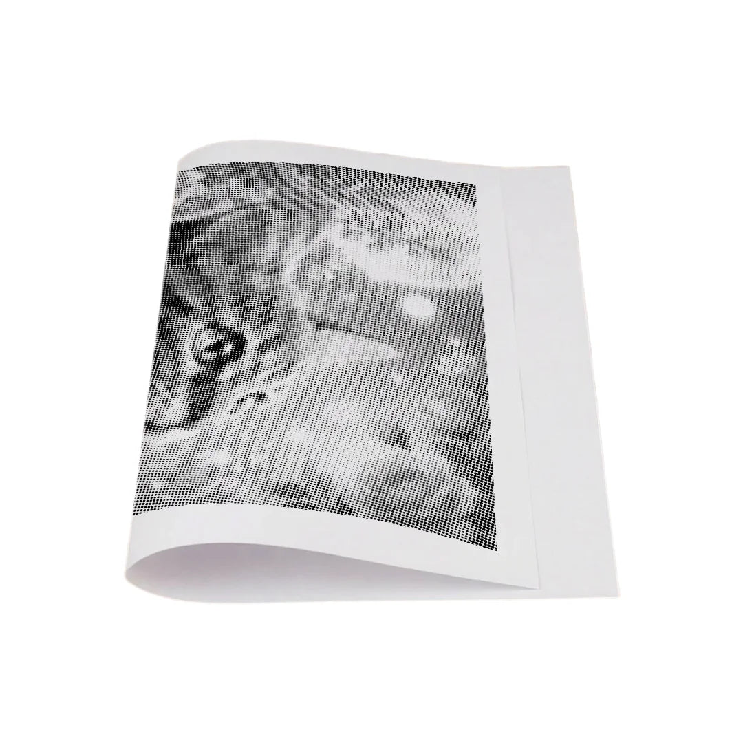 Kit dot painting Lupo