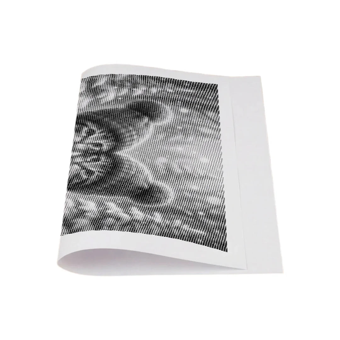 Kit dot painting Lupo