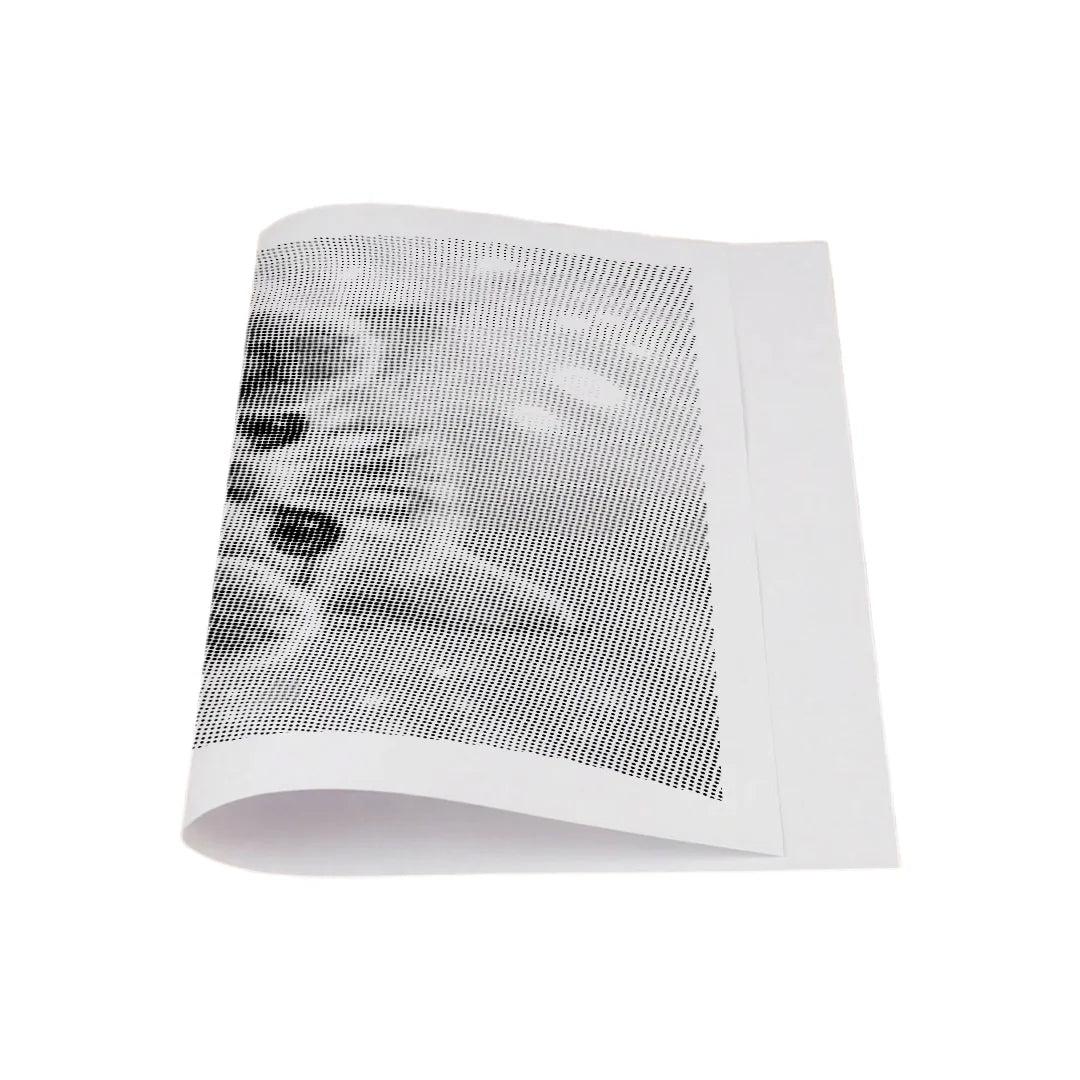 Kit dot painting Lupo