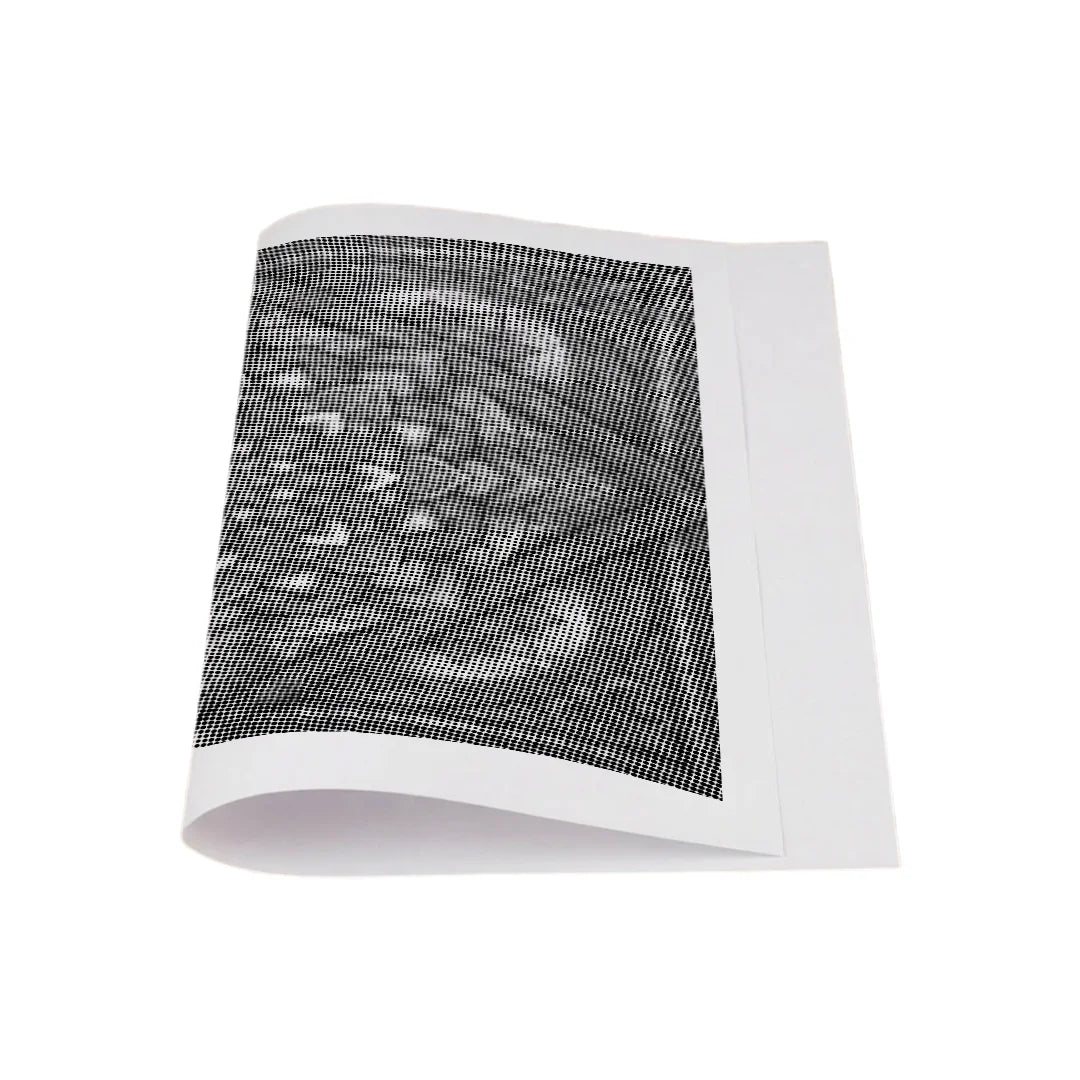 Kit dot painting Lupo