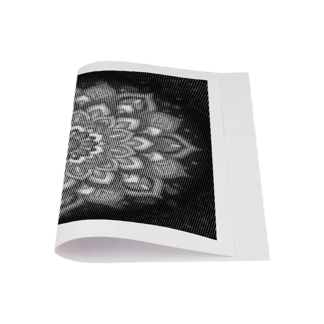 Kit dot painting Lupo