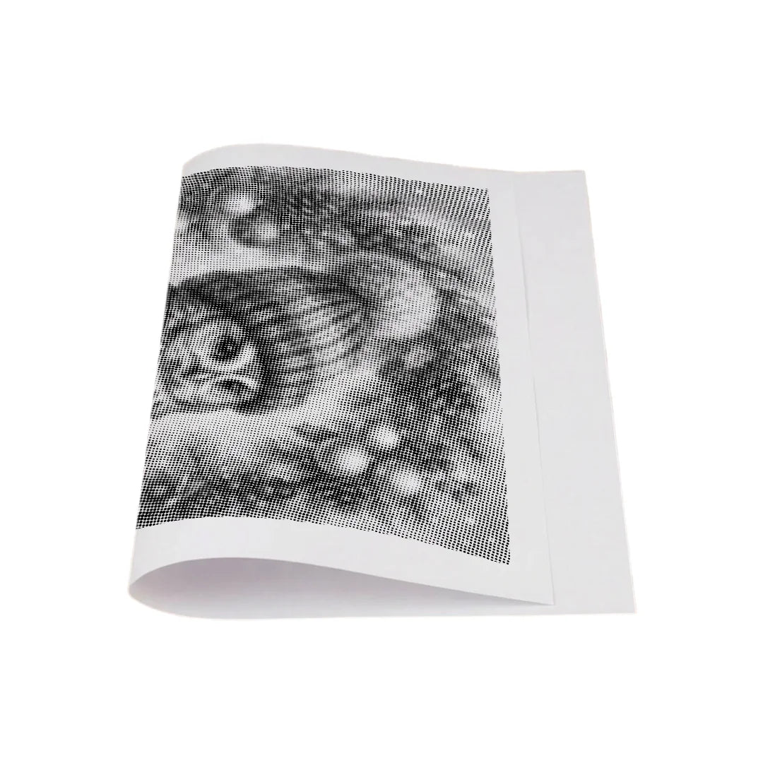 Kit dot painting Lupo