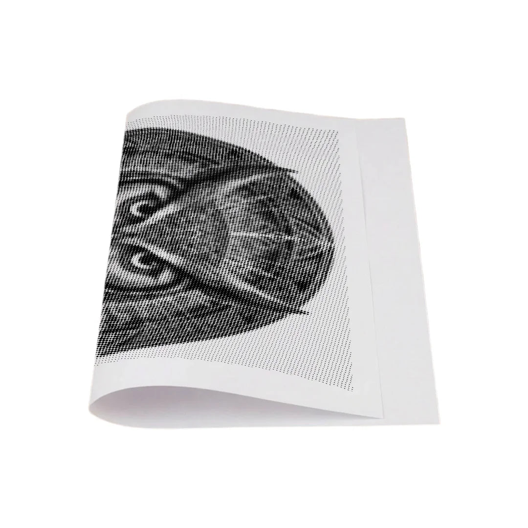 Kit dot painting Lupo