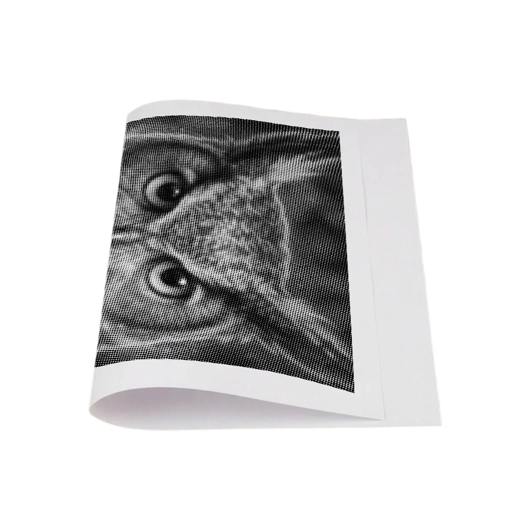 Kit dot painting Lupo