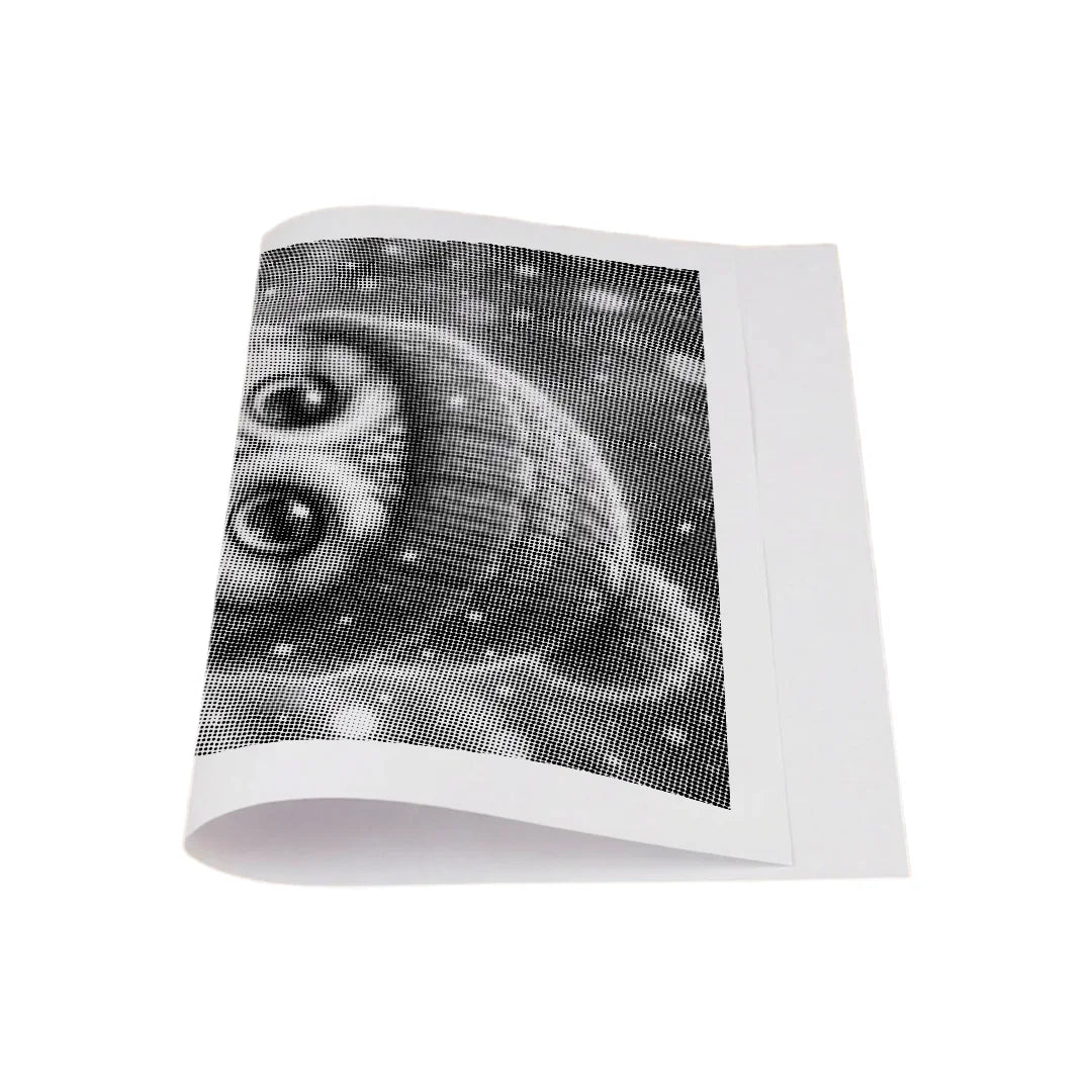 Kit dot painting Lupo