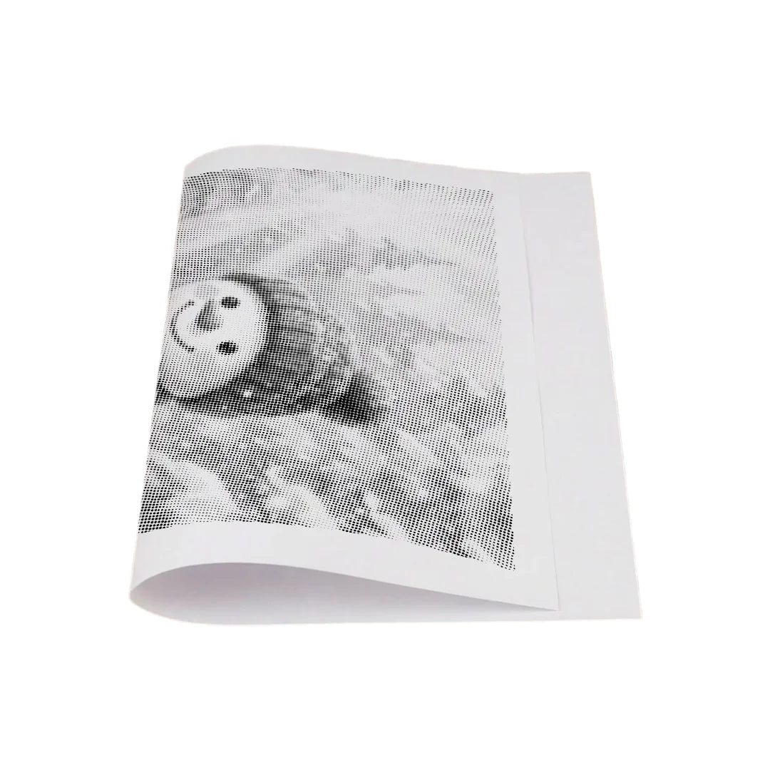 Kit dot painting Lupo