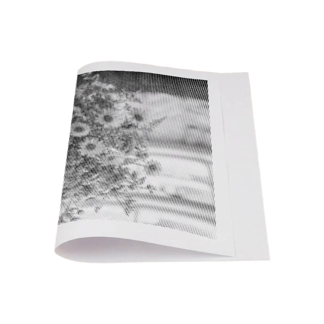 Kit dot painting Lupo