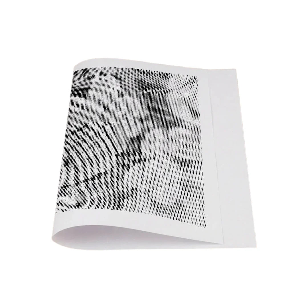 Kit dot painting Lupo