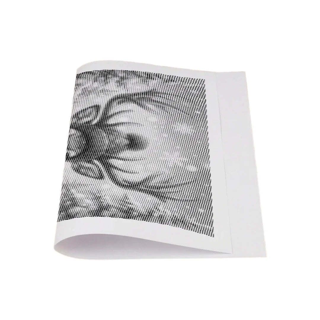 Kit dot painting Lupo