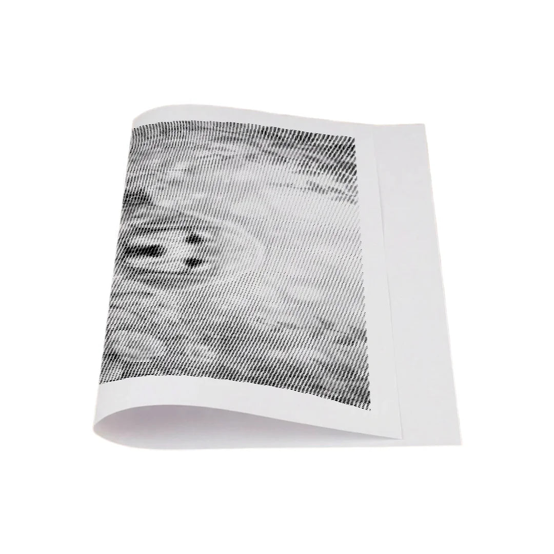 Kit dot painting Lupo