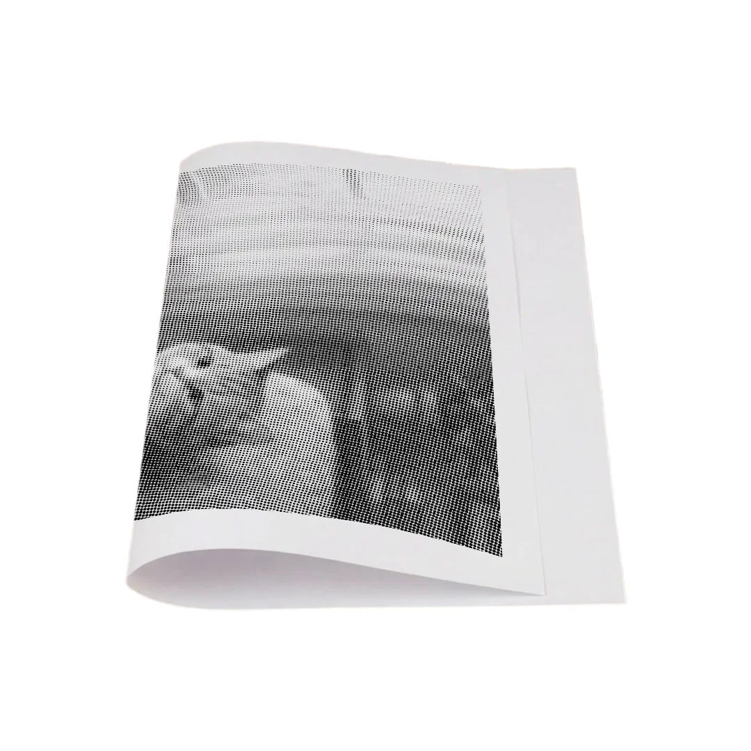 Kit dot painting Lupo