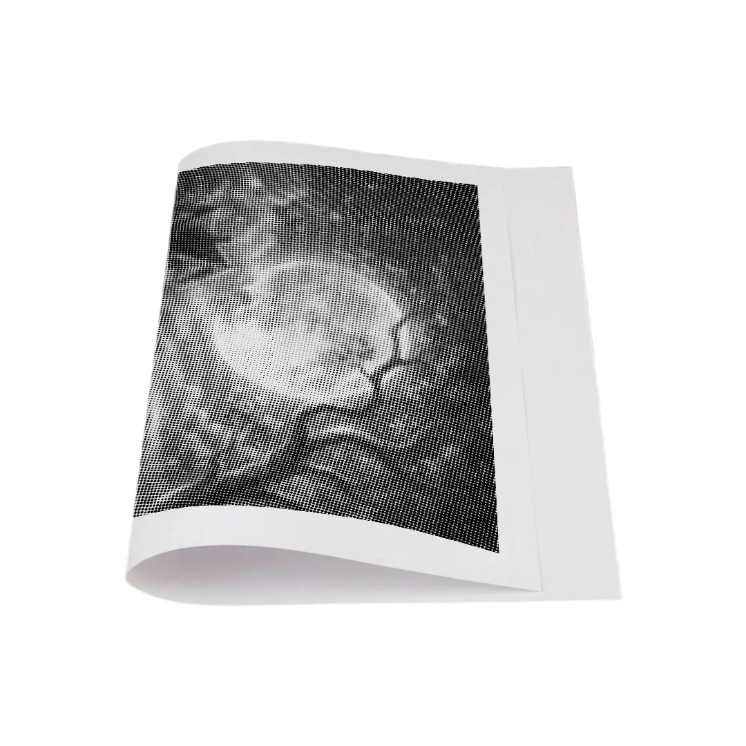 Kit dot painting Lupo