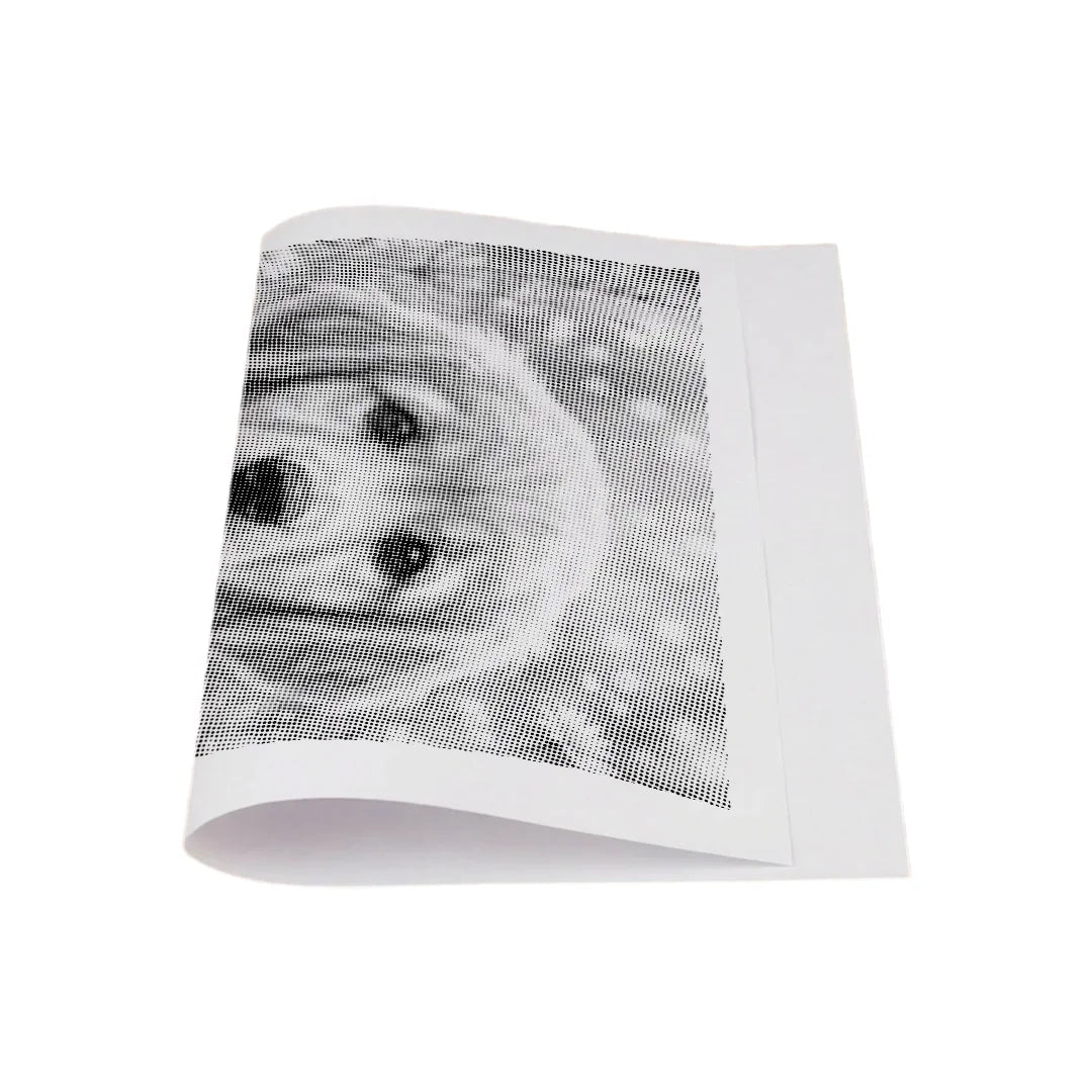 Kit dot painting Lupo