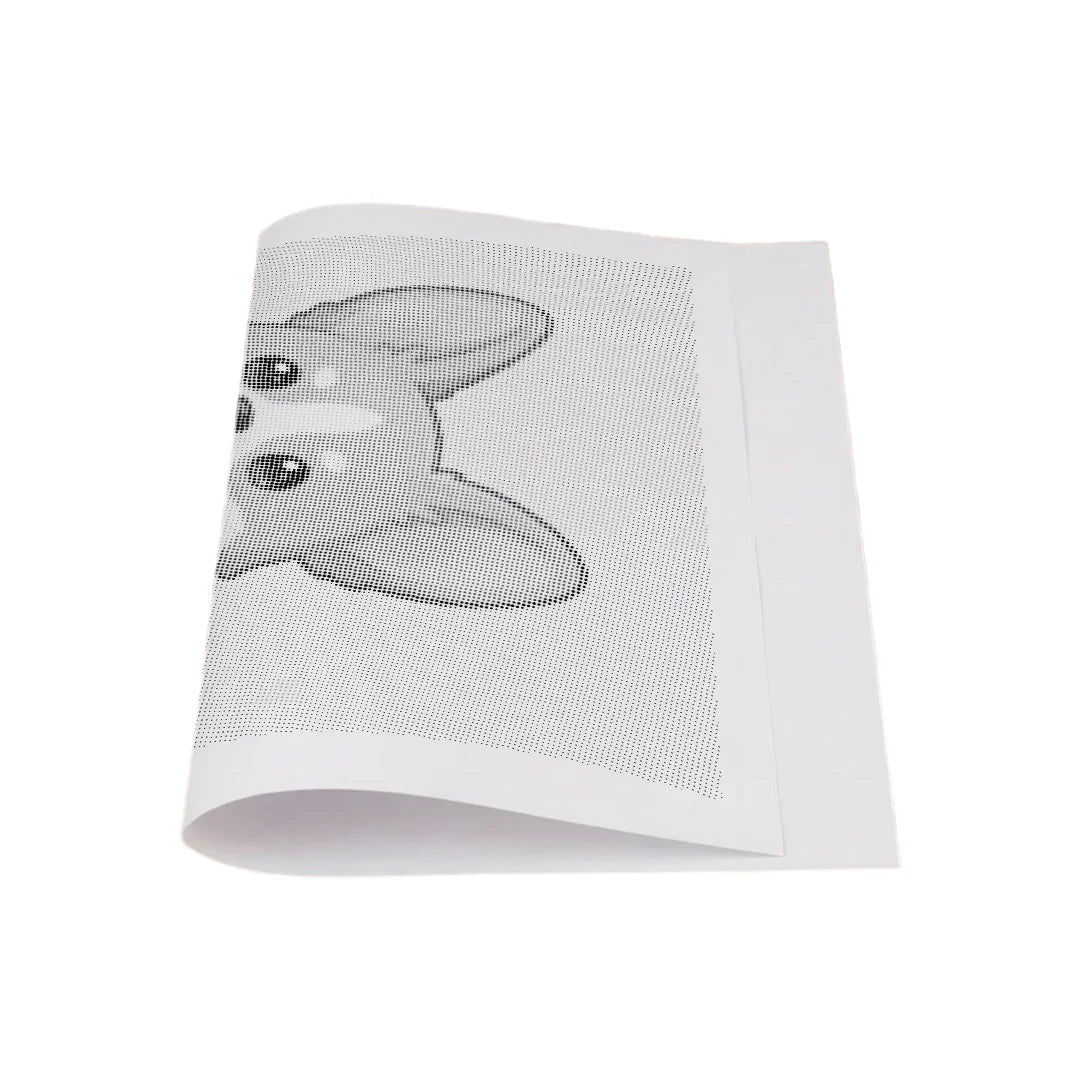 Kit dot painting Lupo