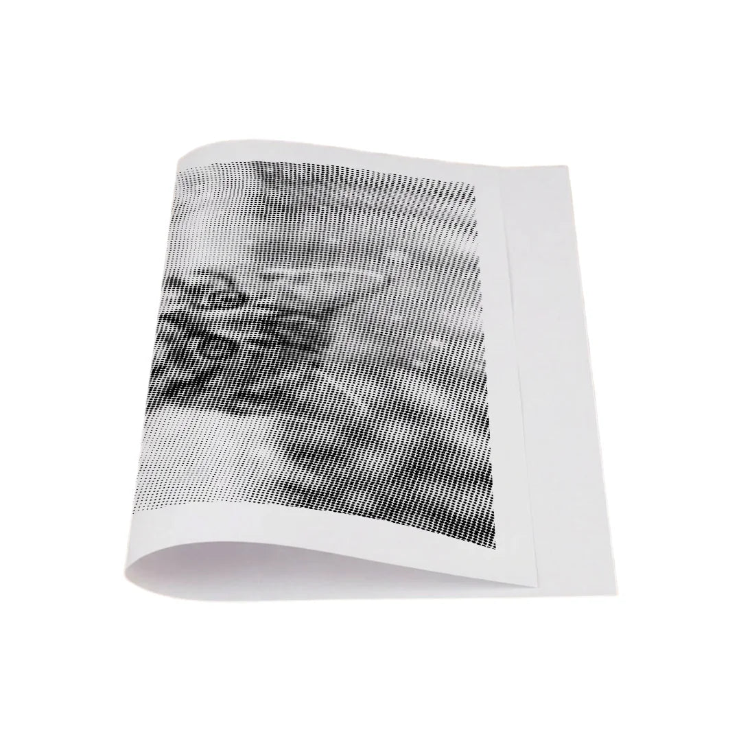 Kit dot painting Lupo